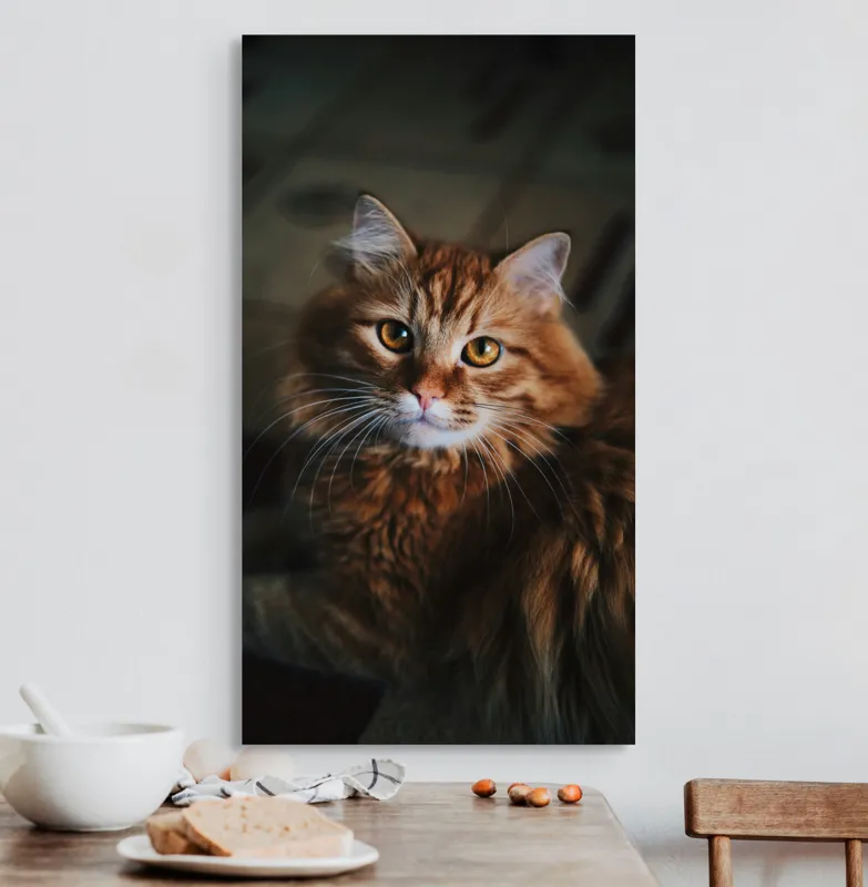 Tablou Canvas, "Pisica tigrată în lumina caldă", Pisică, Blană, Ochi, Mustăți, Drăgălașă, Urechiușe, Pufos, Privește, 50 x 90 cm – poza 3