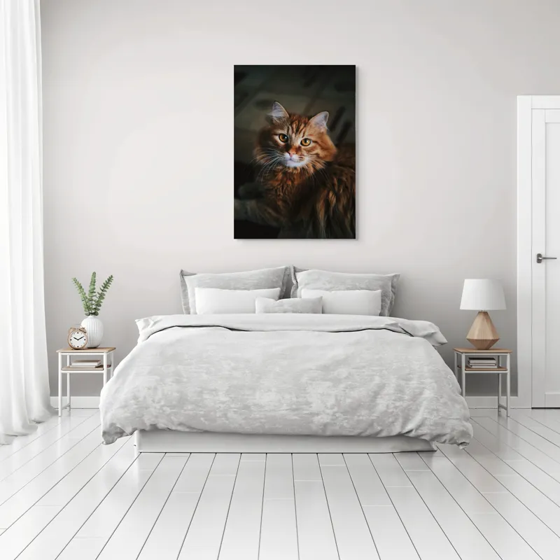 Tablou Canvas, "Pisica tigrată în lumina caldă", Pisică, Blană, Ochi, Mustăți, Drăgălașă, Urechiușe, Pufos, Privește, 70 x 100 cm – poza 3