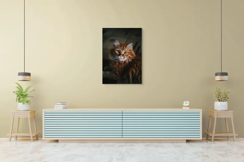 Tablou Canvas, "Pisica tigrată în lumina caldă", Pisică, Blană, Ochi, Mustăți, Drăgălașă, Urechiușe, Pufos, Privește, 70 x 100 cm – poza 5