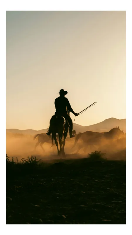 Tablou Canvas, "Cowboy în lumina apusului deșertic", Calaret, Silueta, Apus, Praf, Cal, Peisaj, Western, Cer, Umbra, Aventura, 100 x 100 cm