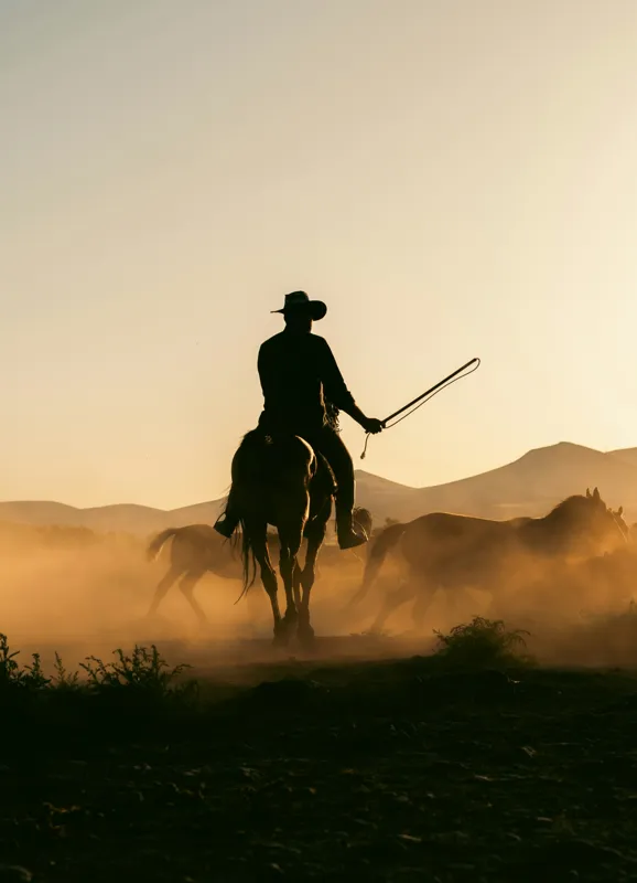 Tablou Canvas, "Cowboy în lumina apusului deșertic", Calaret, Silueta, Apus, Praf, Cal, Peisaj, Western, Cer, Umbra, Aventura, 39 x 54 cm – poza 2