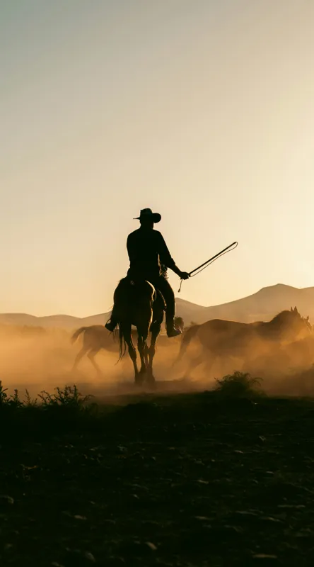Tablou Canvas, "Cowboy în lumina apusului deșertic", Calaret, Silueta, Apus, Praf, Cal, Peisaj, Western, Cer, Umbra, Aventura, 50 x 90 cm – poza 2
