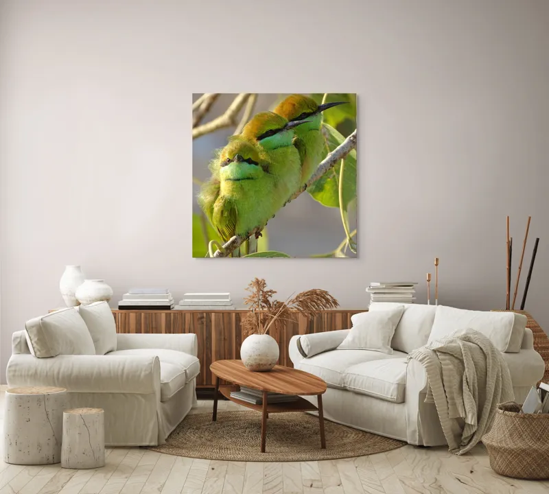 Tablou Canvas, "Culorile verzi ale naturii vii", Trio, Verde, Pene, Creangă, Priviri, Frunze, Pasăre, Natură, Armonie, Delicatețe, 100 x 100 cm – poza 3