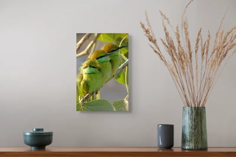 Tablou Canvas, "Culorile verzi ale naturii vii", Trio, Verde, Pene, Creangă, Priviri, Frunze, Pasăre, Natură, Armonie, Delicatețe, 26 x 39 cm – poza 5