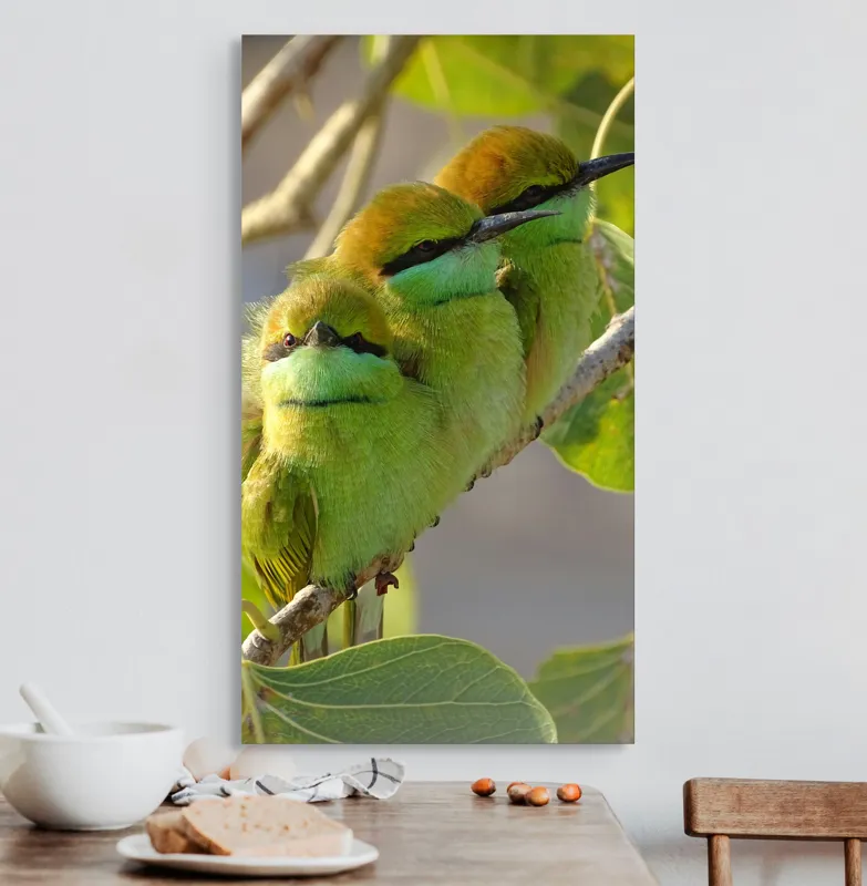 Tablou Canvas, "Culorile verzi ale naturii vii", Trio, Verde, Pene, Creangă, Priviri, Frunze, Pasăre, Natură, Armonie, Delicatețe, 50 x 90 cm – poza 3