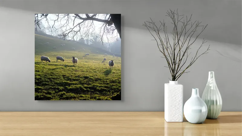 Tablou Canvas, "Oile pasc în lumina dimineții", Copaci, Oi, Pajiște, Răsărit, Siluetă, Natural, Deal, Peisaj, Liniște, Verdeață, 50 x 50 cm – poza 3