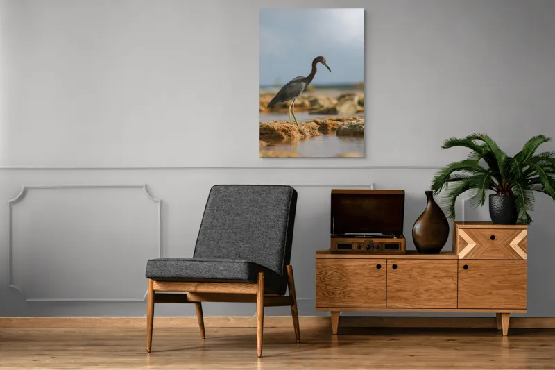 Tablou Canvas, "Egretă solitară pe țărmul pustiu", Solitudine, Serenitate, Pescăruș, Stâncă, Calm, Apă, Cer, Peisaj, 70 x 100 cm – poza 6