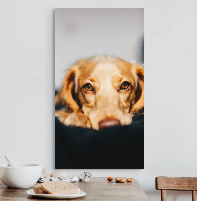 Tablou Canvas, "Visul blând al unui cățel curios", 50 x 90 cm – poza 3
