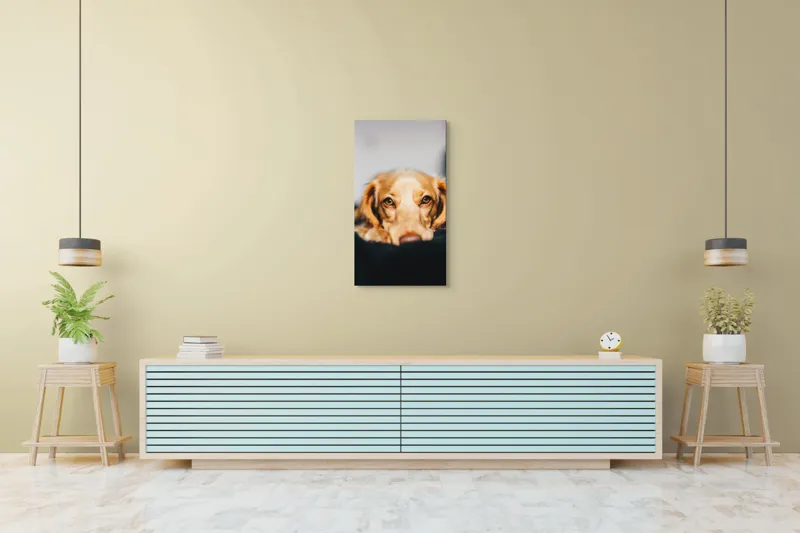 Tablou Canvas, "Visul blând al unui cățel curios", 50 x 90 cm – poza 6