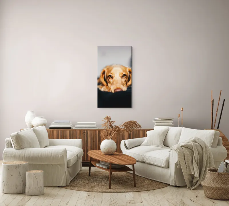 Tablou Canvas, "Visul blând al unui cățel curios", 50 x 90 cm – poza 7