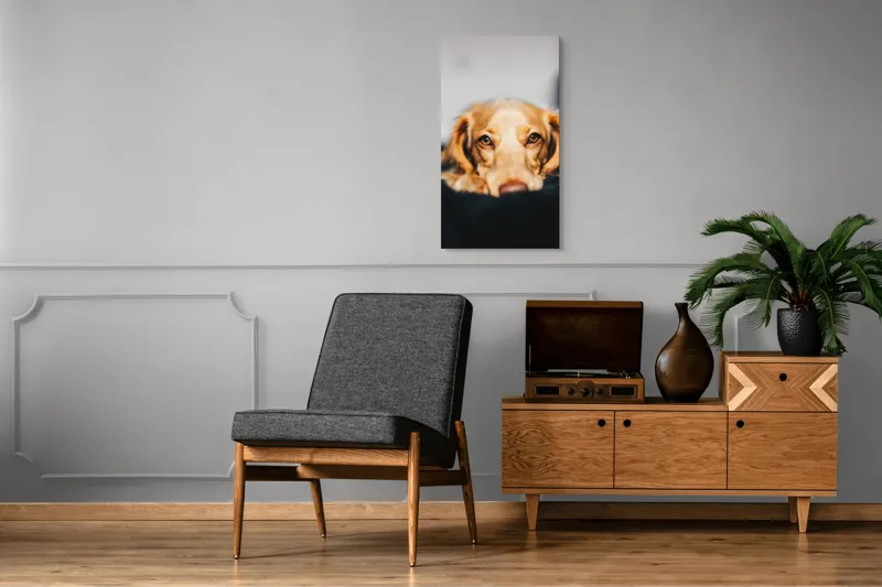 Tablou Canvas, "Visul blând al unui cățel curios", 50 x 90 cm – poza 8