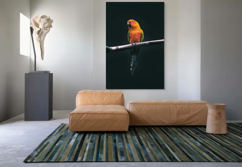 Tablou Canvas, "Papagalul în culori de apus", Pene, Culoare, Lumină, Ramură, Contrast, Natură, Frumusețe, Portocaliu, Verde, Exotism, 100 x 150 cm – poza 7