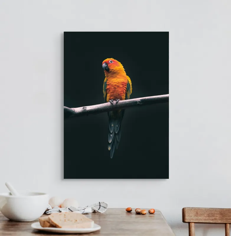 Tablou Canvas, "Papagalul în culori de apus", Pene, Culoare, Lumină, Ramură, Contrast, Natură, Frumusețe, Portocaliu, Verde, Exotism, 50 x 70 cm – poza 3