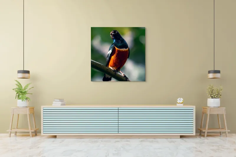 Tablou Canvas, "Pasăre exotică în lumina dimineții", Pasăre, Ramură, Pene, Portocaliu, Verde, Ochi, Natură, Fundal Blur, Poziție, Contrast, 100 x 100 cm – poza 5