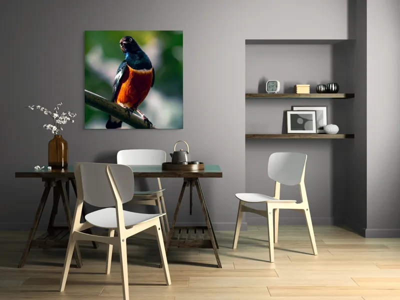 Tablou Canvas, "Pasăre exotică în lumina dimineții", Pasăre, Ramură, Pene, Portocaliu, Verde, Ochi, Natură, Fundal Blur, Poziție, Contrast, 100 x 100 cm – poza 6