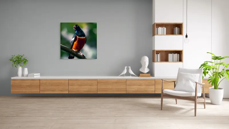 Tablou Canvas, "Pasăre exotică în lumina dimineții", Pasăre, Ramură, Pene, Portocaliu, Verde, Ochi, Natură, Fundal Blur, Poziție, Contrast, 100 x 100 cm – poza 8