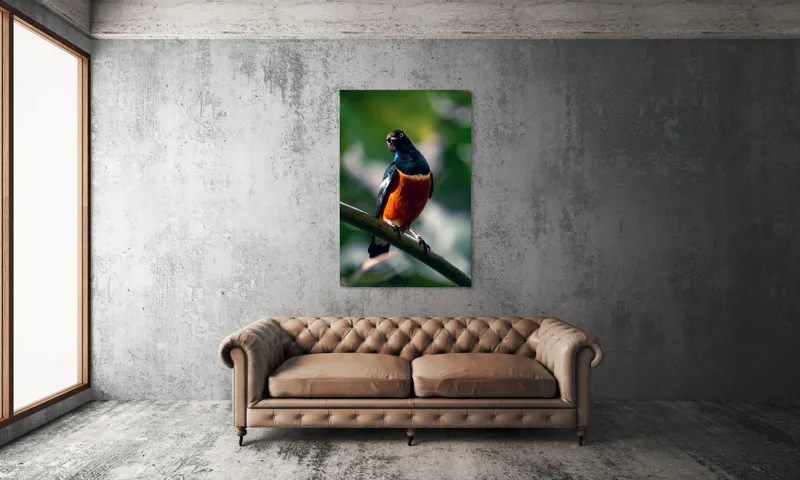 Tablou Canvas, "Pasăre exotică în lumina dimineții", Pasăre, Ramură, Pene, Portocaliu, Verde, Ochi, Natură, Fundal Blur, Poziție, Contrast, 100 x 150 cm – poza 6