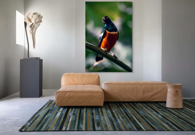 Tablou Canvas, "Pasăre exotică în lumina dimineții", Pasăre, Ramură, Pene, Portocaliu, Verde, Ochi, Natură, Fundal Blur, Poziție, Contrast, 100 x 150 cm – poza 7