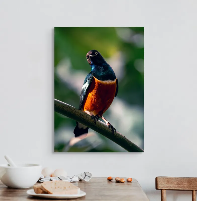 Tablou Canvas, "Pasăre exotică în lumina dimineții", Pasăre, Ramură, Pene, Portocaliu, Verde, Ochi, Natură, Fundal Blur, Poziție, Contrast, 50 x 70 cm – poza 3