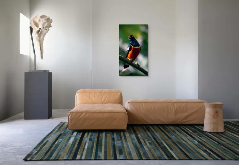 Tablou Canvas, "Pasăre exotică în lumina dimineții", Pasăre, Ramură, Pene, Portocaliu, Verde, Ochi, Natură, Fundal Blur, Poziție, Contrast, 50 x 90 cm – poza 5