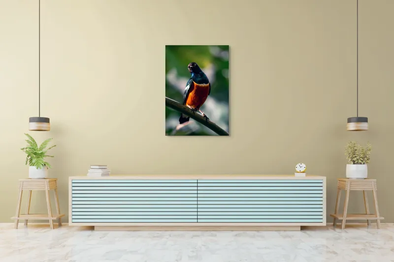 Tablou Canvas, "Pasăre exotică în lumina dimineții", Pasăre, Ramură, Pene, Portocaliu, Verde, Ochi, Natură, Fundal Blur, Poziție, Contrast, 70 x 100 cm – poza 5