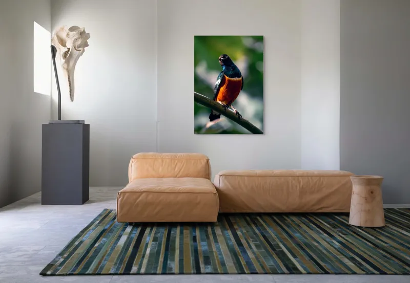 Tablou Canvas, "Pasăre exotică în lumina dimineții", Pasăre, Ramură, Pene, Portocaliu, Verde, Ochi, Natură, Fundal Blur, Poziție, Contrast, 70 x 100 cm – poza 7