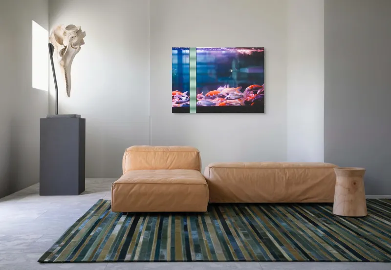 Tablou Canvas, "Dansul peștilor în acvariu colorat", Pestisori, Acvariu, Apa, Lumini, Colorat, Albastru, Portocaliu, Animale, Reflexii, Claritate, 100 x 70 cm – poza 7