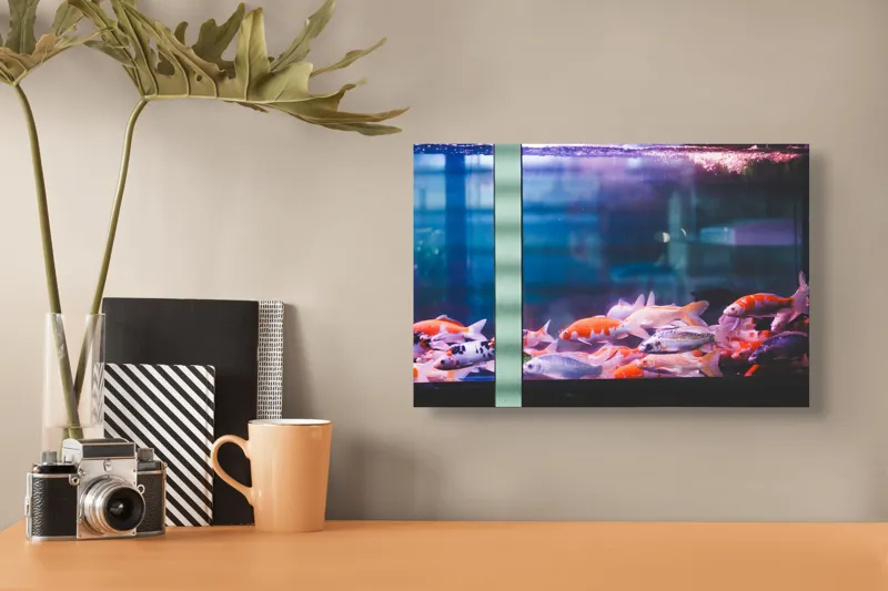 Tablou Canvas, "Dansul peștilor în acvariu colorat", Pestisori, Acvariu, Apa, Lumini, Colorat, Albastru, Portocaliu, Animale, Reflexii, Claritate, 39 x 26 cm – poza 3