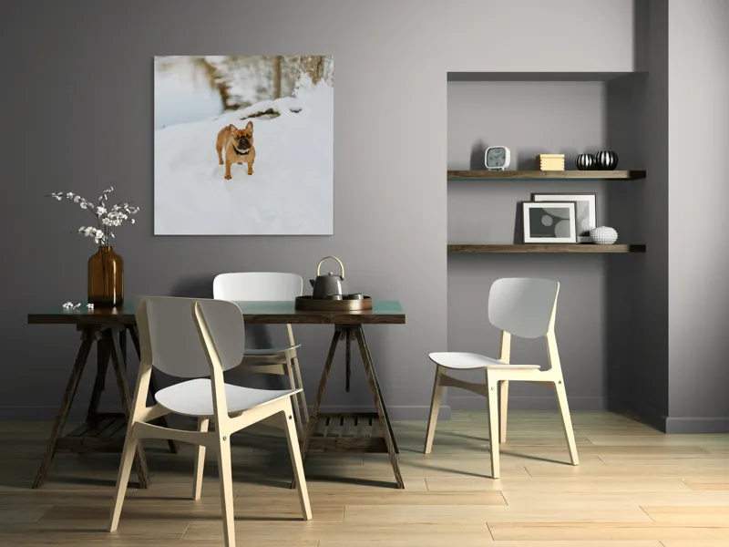 Tablou Canvas, "Bulldog francez în zăpada proaspătă", Bulldog, Zăpadă, Râu, Pădure, Iarnă, Căprioară, Natură, 100 x 100 cm – poza 6