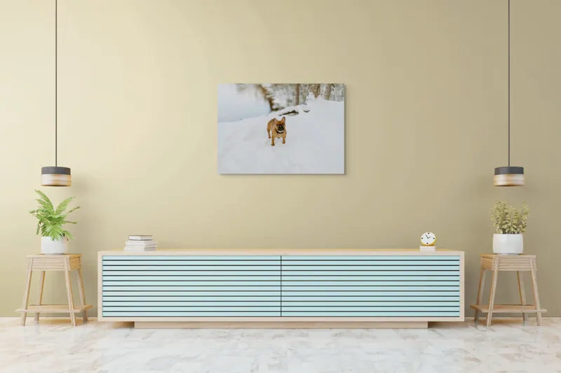 Tablou Canvas, "Bulldog francez în zăpada proaspătă", Bulldog, Zăpadă, Râu, Pădure, Iarnă, Căprioară, Natură, 100 x 70 cm – poza 4