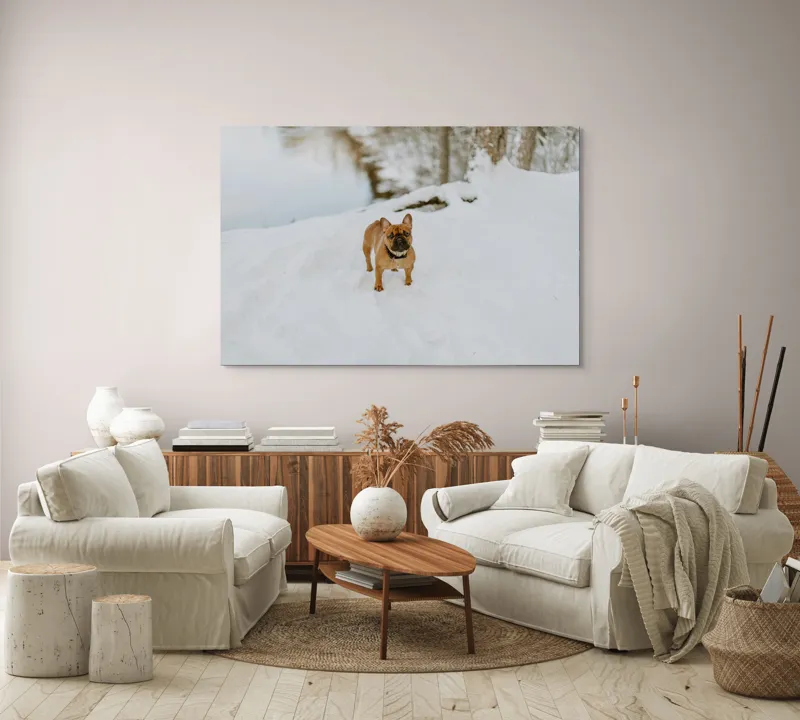 Tablou Canvas, "Bulldog francez în zăpada proaspătă", Bulldog, Zăpadă, Râu, Pădure, Iarnă, Căprioară, Natură, 150 x 100 cm – poza 3