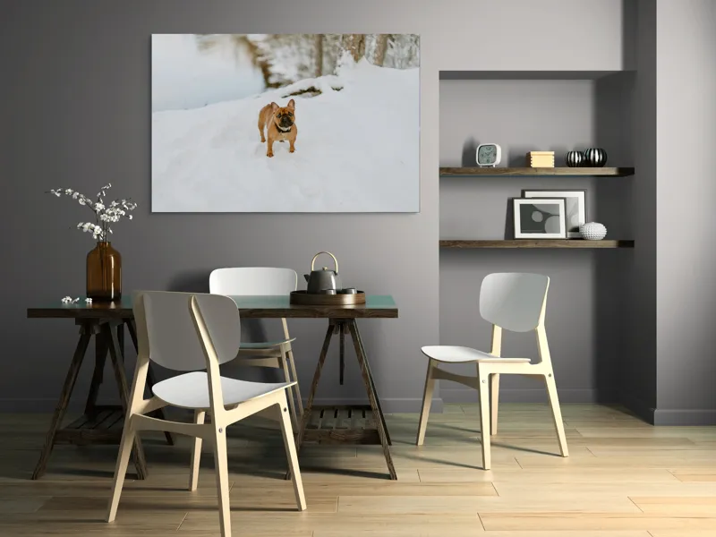 Tablou Canvas, "Bulldog francez în zăpada proaspătă", Bulldog, Zăpadă, Râu, Pădure, Iarnă, Căprioară, Natură, 150 x 100 cm – poza 5