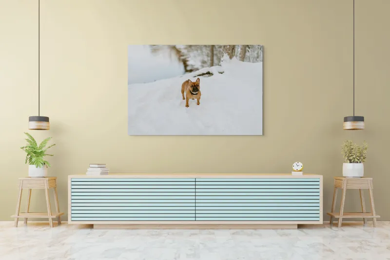 Tablou Canvas, "Bulldog francez în zăpada proaspătă", Bulldog, Zăpadă, Râu, Pădure, Iarnă, Căprioară, Natură, 150 x 100 cm – poza 6