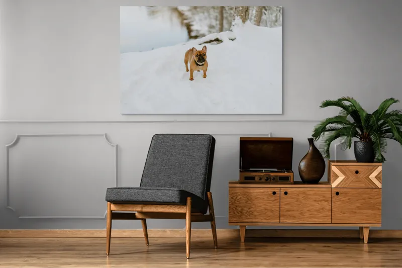 Tablou Canvas, "Bulldog francez în zăpada proaspătă", Bulldog, Zăpadă, Râu, Pădure, Iarnă, Căprioară, Natură, 150 x 100 cm – poza 8