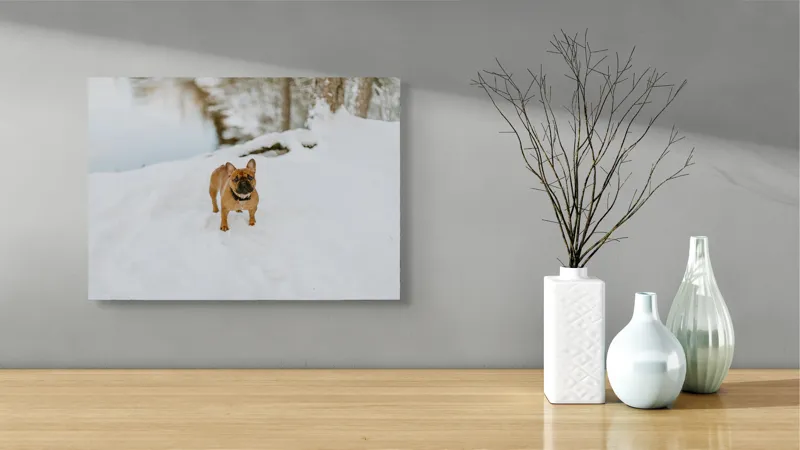 Tablou Canvas, "Bulldog francez în zăpada proaspătă", Bulldog, Zăpadă, Râu, Pădure, Iarnă, Căprioară, Natură, 54 x 39 cm – poza 3