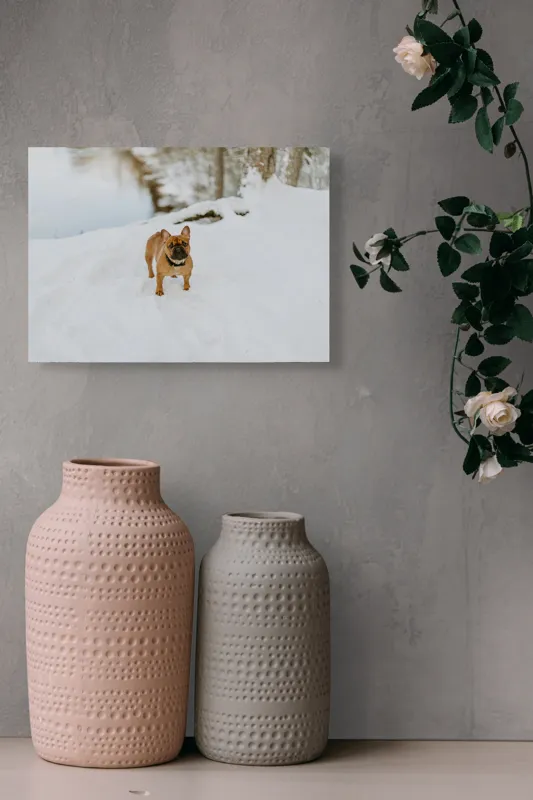 Tablou Canvas, "Bulldog francez în zăpada proaspătă", Bulldog, Zăpadă, Râu, Pădure, Iarnă, Căprioară, Natură, 54 x 39 cm – poza 8