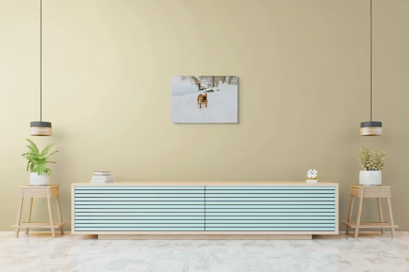 Tablou Canvas, "Bulldog francez în zăpada proaspătă", Bulldog, Zăpadă, Râu, Pădure, Iarnă, Căprioară, Natură, 70 x 50 cm – poza 7