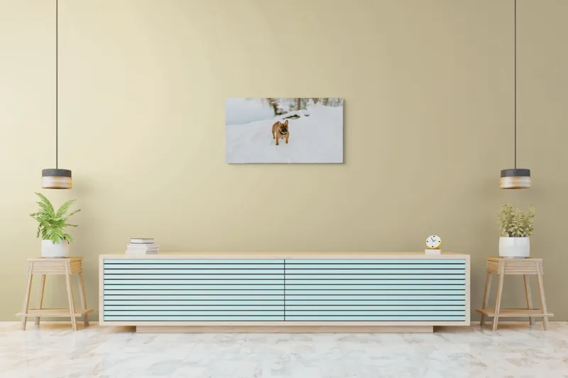 Tablou Canvas, "Bulldog francez în zăpada proaspătă", Bulldog, Zăpadă, Râu, Pădure, Iarnă, Căprioară, Natură, 90 x 50 cm – poza 5