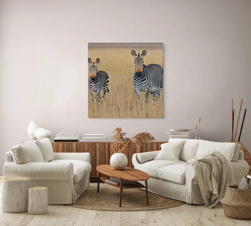 Tablou Canvas, "zebre pe câmpie uscată", Nu pot să îți spun cine sunt persoanele sau animalele din imagine., 100 x 100 cm – poza 3
