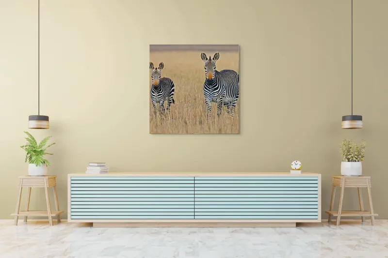 Tablou Canvas, "zebre pe câmpie uscată", Nu pot să îți spun cine sunt persoanele sau animalele din imagine., 100 x 100 cm – poza 5