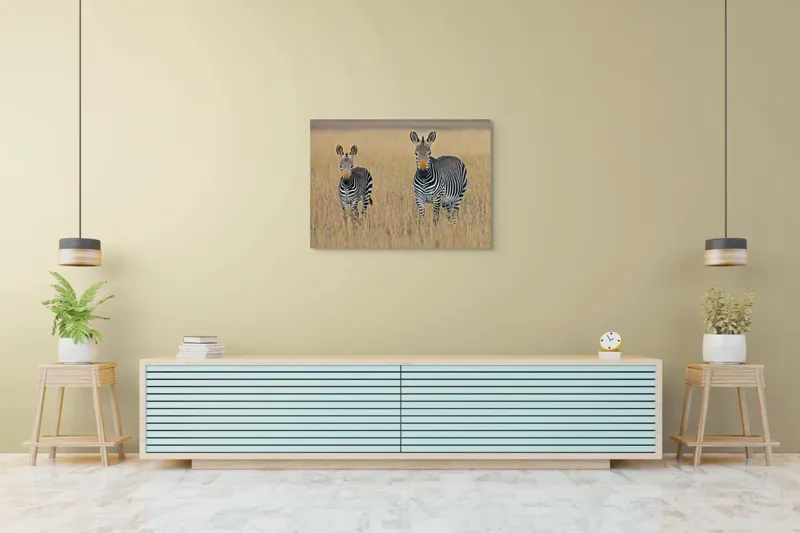 Tablou Canvas, "zebre pe câmpie uscată", Nu pot să îți spun cine sunt persoanele sau animalele din imagine., 100 x 70 cm – poza 4