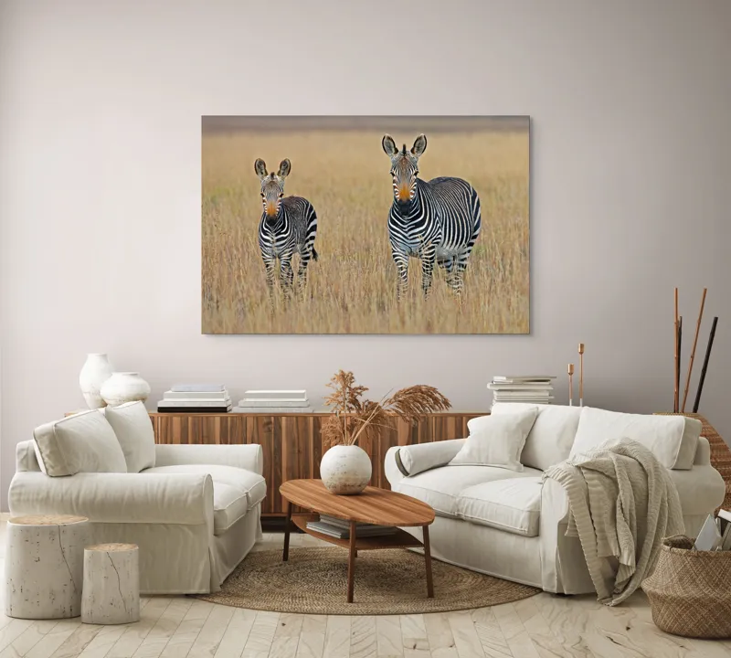 Tablou Canvas, "zebre pe câmpie uscată", Nu pot să îți spun cine sunt persoanele sau animalele din imagine., 150 x 100 cm – poza 3