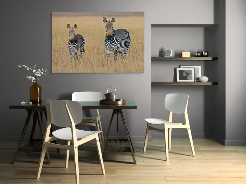 Tablou Canvas, "zebre pe câmpie uscată", Nu pot să îți spun cine sunt persoanele sau animalele din imagine., 150 x 100 cm – poza 5