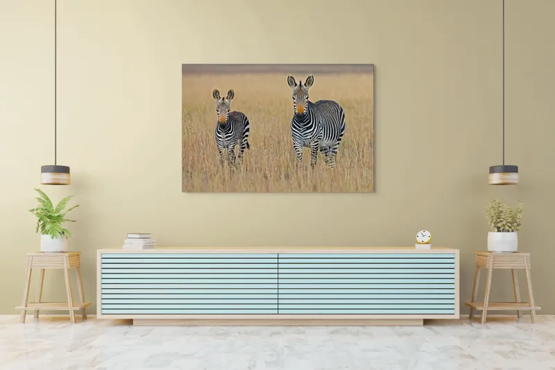 Tablou Canvas, "zebre pe câmpie uscată", Nu pot să îți spun cine sunt persoanele sau animalele din imagine., 150 x 100 cm – poza 6