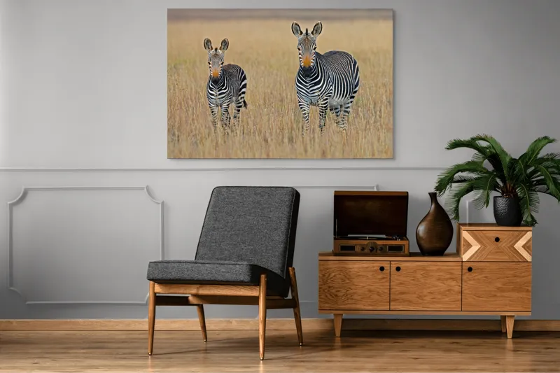 Tablou Canvas, "zebre pe câmpie uscată", Nu pot să îți spun cine sunt persoanele sau animalele din imagine., 150 x 100 cm – poza 8