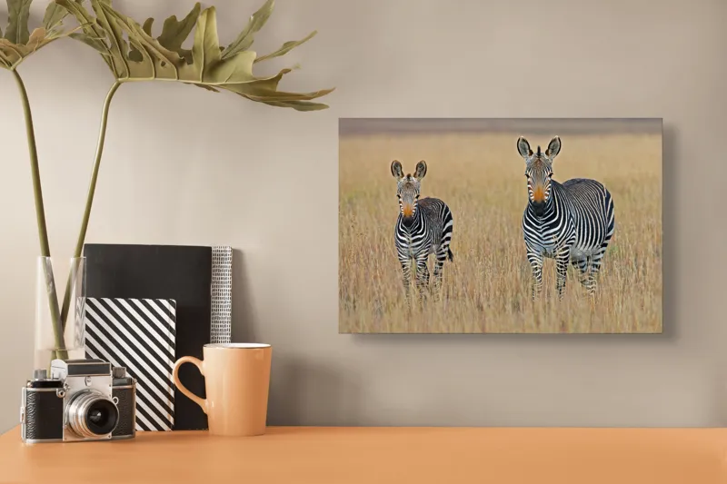 Tablou Canvas, "zebre pe câmpie uscată", Nu pot să îți spun cine sunt persoanele sau animalele din imagine., 39 x 26 cm – poza 3