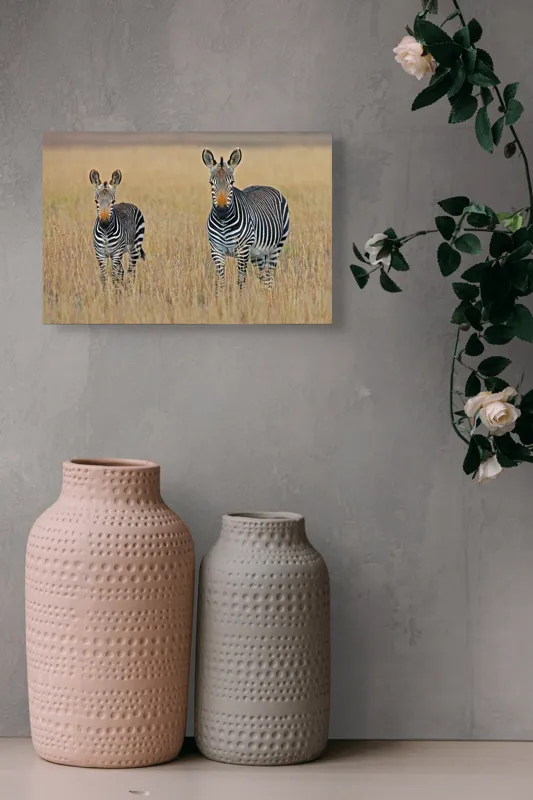 Tablou Canvas, "zebre pe câmpie uscată", Nu pot să îți spun cine sunt persoanele sau animalele din imagine., 39 x 26 cm – poza 4