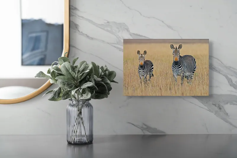 Tablou Canvas, "zebre pe câmpie uscată", Nu pot să îți spun cine sunt persoanele sau animalele din imagine., 39 x 26 cm – poza 5
