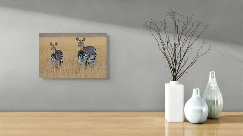 Tablou Canvas, "zebre pe câmpie uscată", Nu pot să îți spun cine sunt persoanele sau animalele din imagine., 39 x 26 cm – poza 8