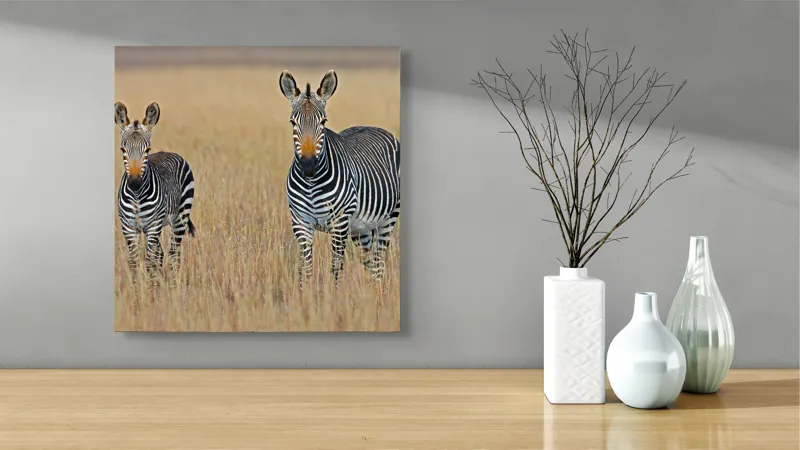 Tablou Canvas, "zebre pe câmpie uscată", 50 x 50 cm – poza 3